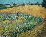 unknow artist Vincent van Gogh Wheatfield oil painting picture wholesale